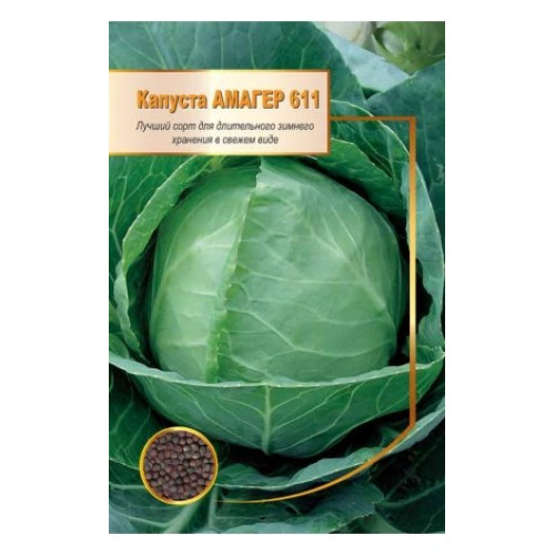 Амагер 611 — насіння, Капуста