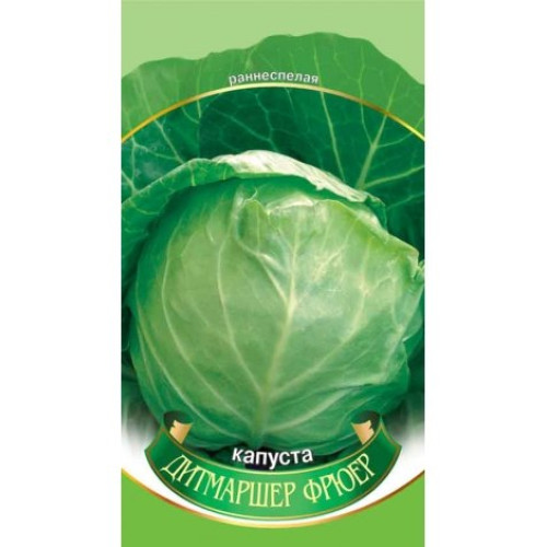 Дітмаршер Фрюєр — насіння, Капуста