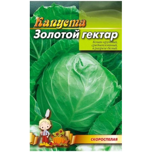 Золотий гектар — насіння, Капуста