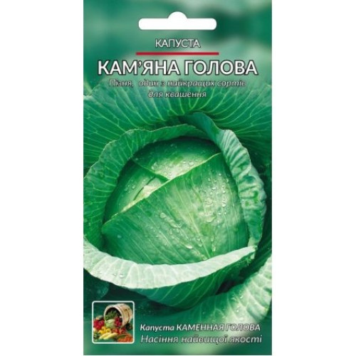Кам'яна голова — насіння, Капуста