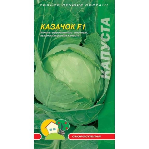 Козачок F1 — насіння, Капуста