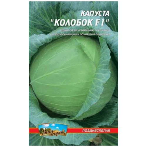 КолобокF1 — насіння, Капуста