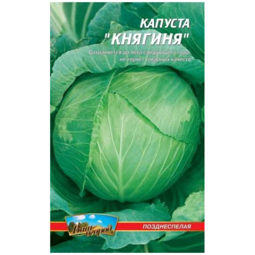 Княгиня — насіння, Капуста