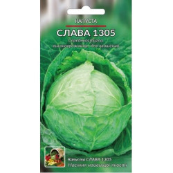 Слава1305