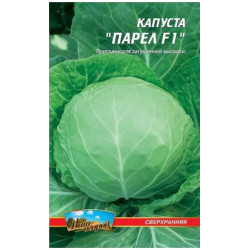 ПарелF1