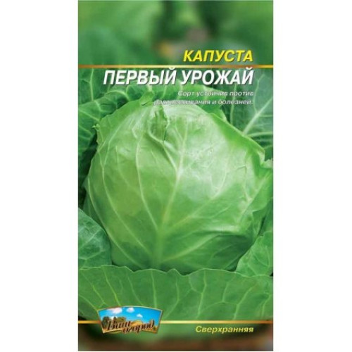 Перший урожай — насіння, Капуста
