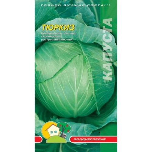 Тюркіз — насіння, Капуста