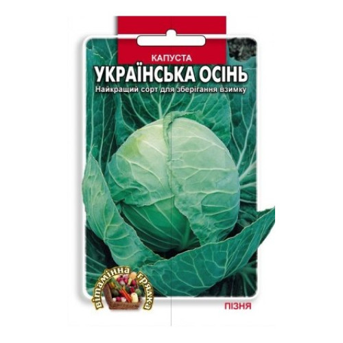 Українська осінь — насіння, Капуста