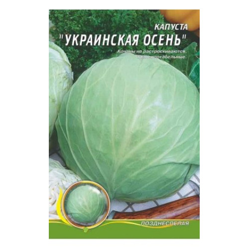 Українська осінь — насіння, Капуста