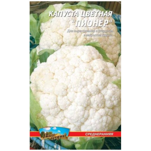Піонер — насіння, Капуста