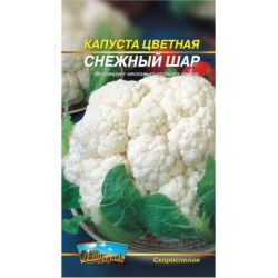 Снігова куля