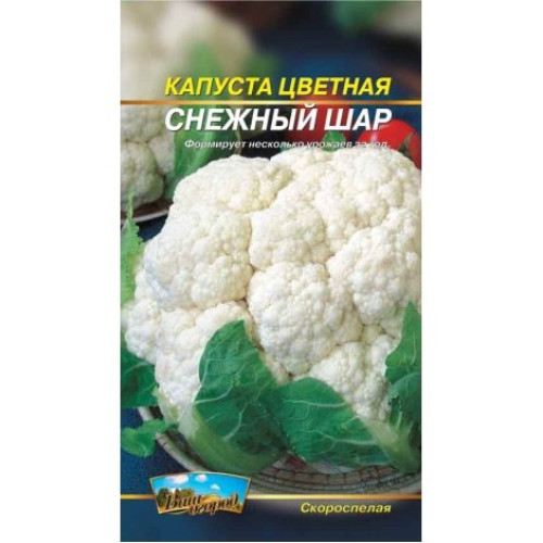 Снігова куля — насіння, Капуста