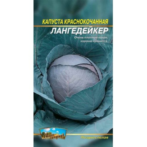 Лангедейкер — насіння, Капуста