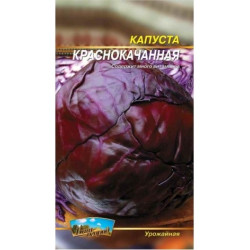 Червонокачанна Червонокачанна