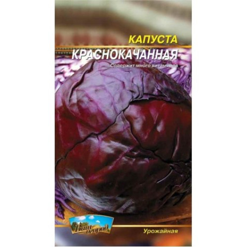 Червонокачанна — насіння, Капуста