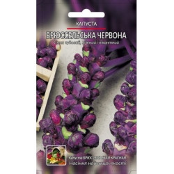 Брюссельська червона Брюссельська червона