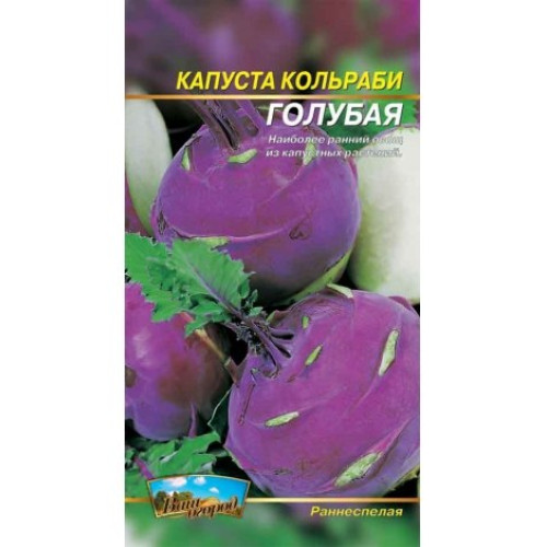 Кольрабі Блакитна — насіння, Капуста