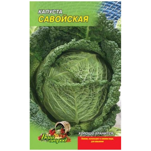 Савійська — насіння, Капуста