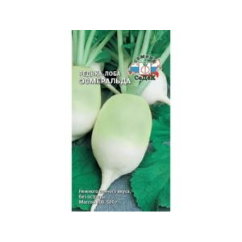 Лобо Лебідка — насіння, Редис