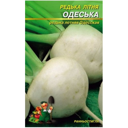 Одеська — насіння, Редис