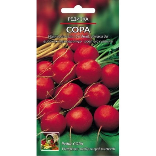 Сора — насіння, Редис
