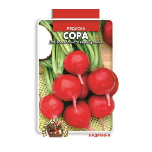 Сора — насіння, Редис