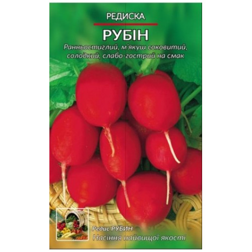 Рубін — насіння, Редис