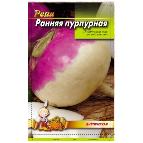 Ріпа пурпурна — насіння, Редис