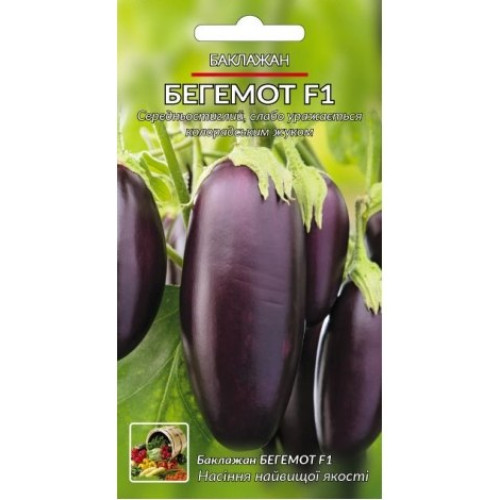 Бегемот F1 — насіння, Баклажани