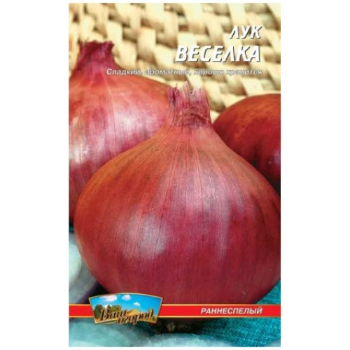 Веселка — насіння, Цибуля