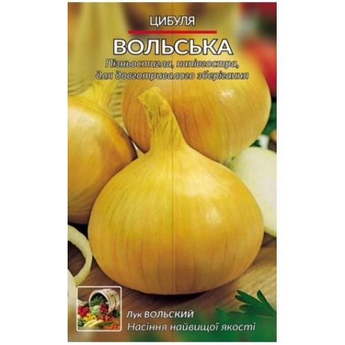Вольський — насіння, Цибуля