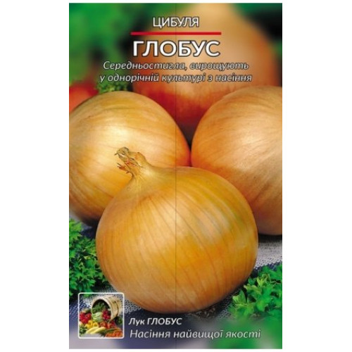 Глобус — насіння, Цибуля