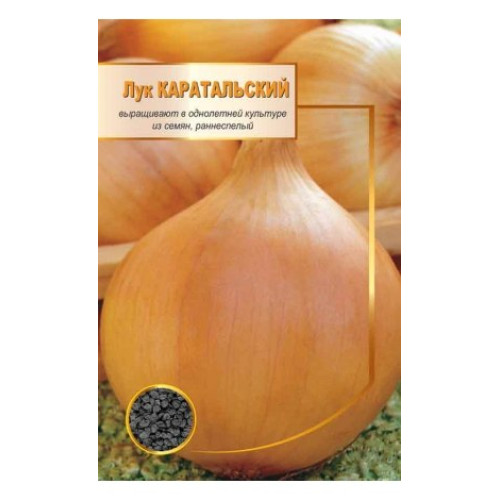Каратальского — насіння, Цибуля