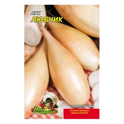 Любчик — насіння, Цибуля