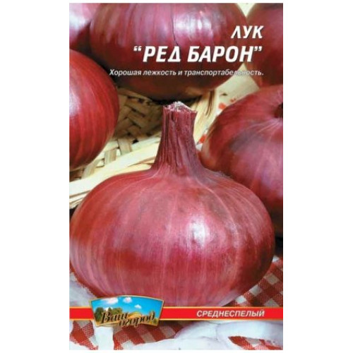 Ред барон — насіння, Цибуля