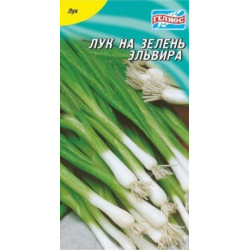 Лук на зелень Ельвіра