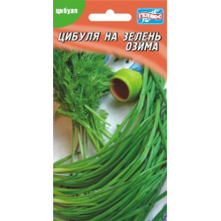 Лук на зелень озимий