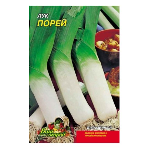 Порей — насіння, Цибуля