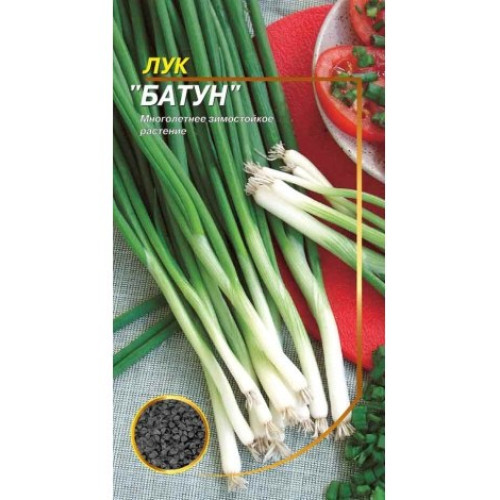 Батун — насіння, Цибуля