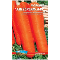 Амстердамська Амстердамська