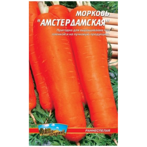 Амстердамська — насіння, Морква