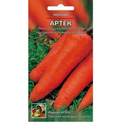 Артек Артек