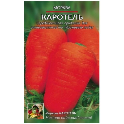 Каротель — насіння, Морква