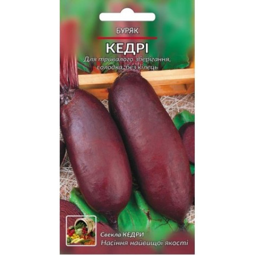 Кедрі — насіння, Буряк