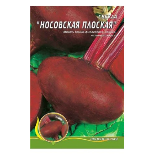 Носівський плоский — насіння, Буряк