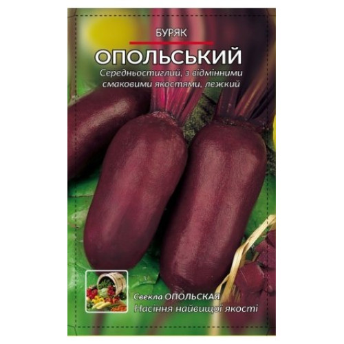 Опольська — насіння, Буряк