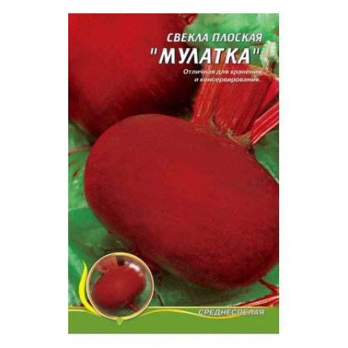 Мулатка — насіння, Буряк
