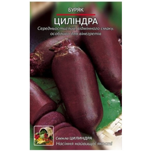 Циліндра — насіння, Буряк