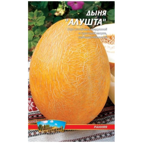 Алушта — насіння, Буряк