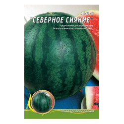 Північне сяйво